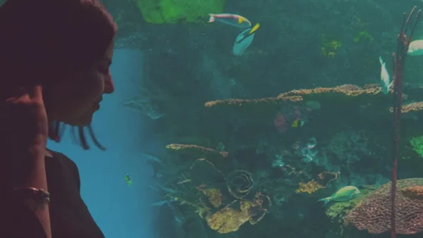 Frau steht vor einem riesigen Aquarium
